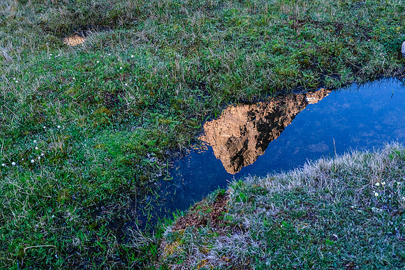 Morning reflections.