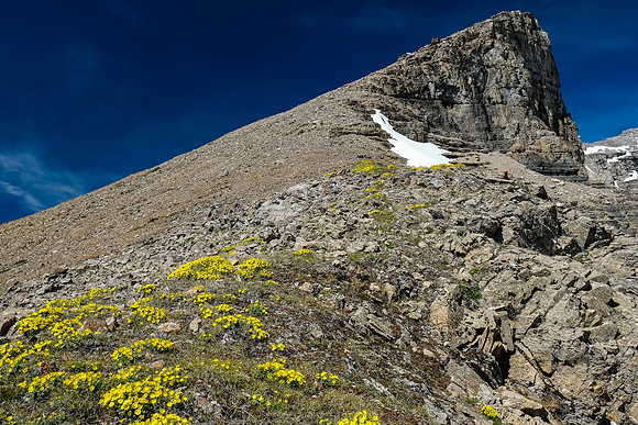 Easy scrambling up Kentigern's southwest slopes.