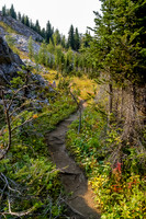 A good trail continues from the top of the headwall high above Foch Creek, which is oos to the right.
