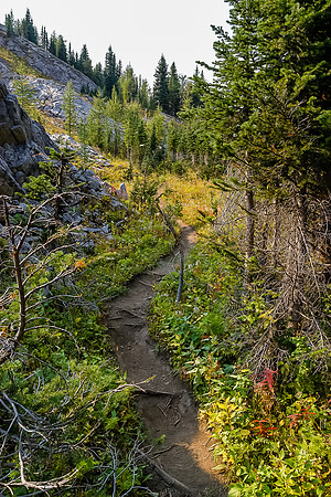 A good trail continues from the top of the headwall high above Foch Creek, which is oos to the right.