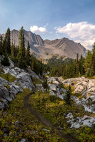 Back on an obvious trail running along Aster Creek.