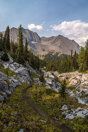 Back on an obvious trail running along Aster Creek.