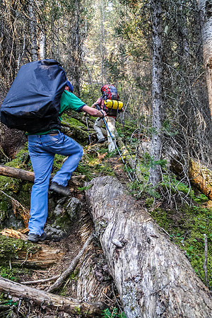 Rod and Jon on the rough trail between Kananaskis Lake and Hidden Lake.