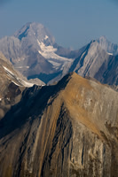 Looking over the Haig Icefield at Mount Sir Douglas.