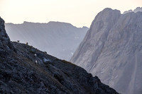 The goats we saw on our traverse between Three Isle Peak and Putnik's south slope.