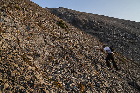 Lots and lots and lots of rubble on this mountain!
