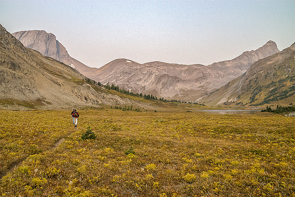 We follow the obvious Northover Ridge / Joffre approach trail towards Northover (R) and Warrior (L).