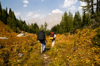 Our heavy backpacks are back on! Heading down to the main trail to Three Isle Lake.