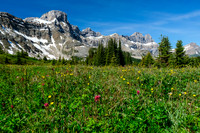 Watermelon Peak over the Siffleur River valley.
