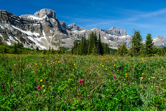 Watermelon Peak over the Siffleur River valley.