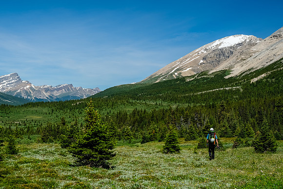Crossing the Siffleur River valley towards Clearwater and Kentigern.