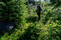 Hiking up the north branch of Mosquito Creek to Quartzite Col.