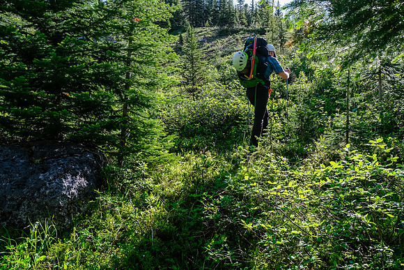 Hiking up the north branch of Mosquito Creek to Quartzite Col.