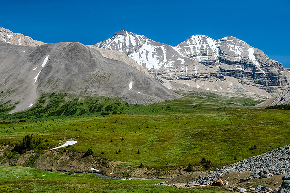 Willingdon, Crown and Tower across the Siffleur River valley.