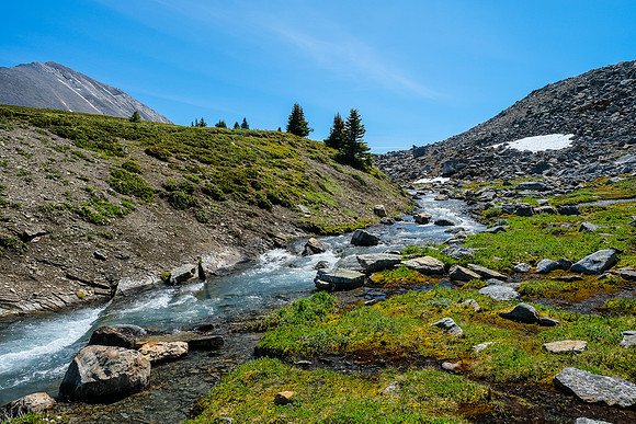 The Siffleur River.