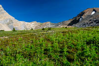 Hiking towards Quartzite Col (C).