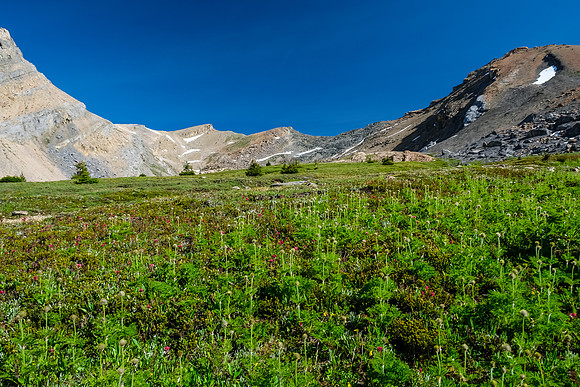 Hiking towards Quartzite Col (C).