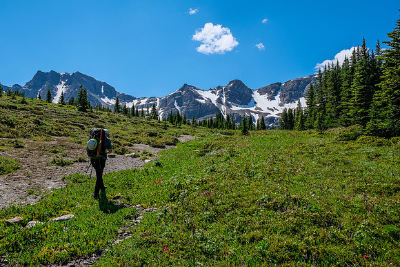Crossing the Siffleur River valley back to the Quartzite Col.