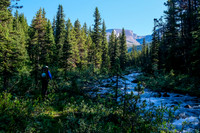 Hiking up the north branch of Mosquito Creek to Quartzite Col.
