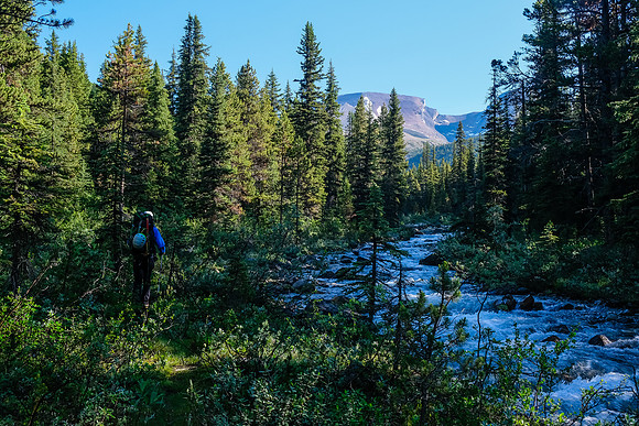 Hiking up the north branch of Mosquito Creek to Quartzite Col.