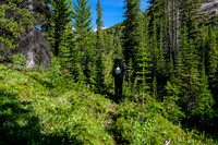 Hiking up the north branch of Mosquito Creek to Quartzite Col.