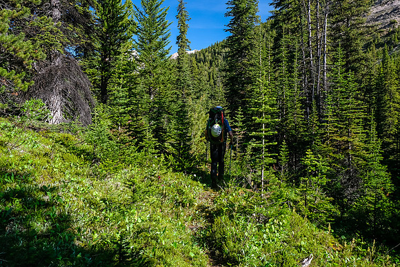 Hiking up the north branch of Mosquito Creek to Quartzite Col.