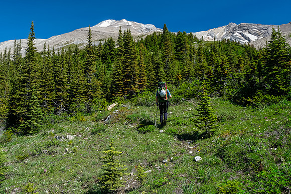 Crossing the Siffleur River valley towards Clearwater and Kentigern.