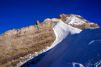 Looking back at Willingdon's south ridge.