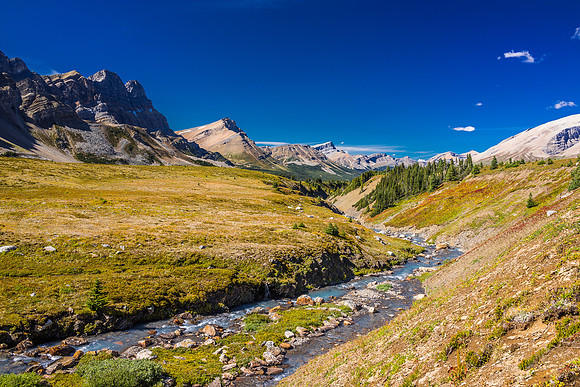 The Siffleur River Valley.