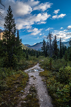 Starting out along a wet Mosquito Creek trail.