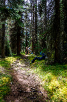 Dolomite Creek Trail.