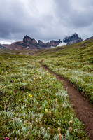 Dolomite Creek Trail.