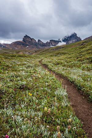 Dolomite Creek Trail.