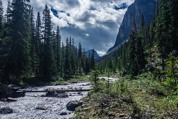 Dolomite Creek Trail.