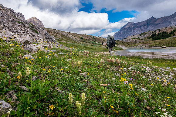 Dolomite Creek.