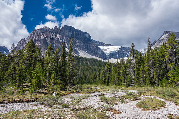 Dolomite Creek Trail.