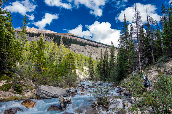 Bushwhacking along the south side of the wild Recondite Creek.