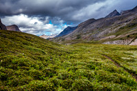 Dolomite Creek Trail.