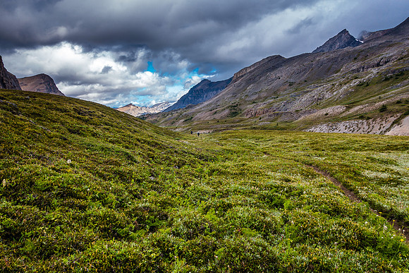 Dolomite Creek Trail.