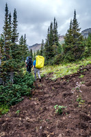 Grizzlies and rain for the first few kms to Dolomite Pass.