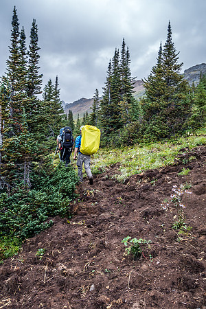 Grizzlies and rain for the first few kms to Dolomite Pass.