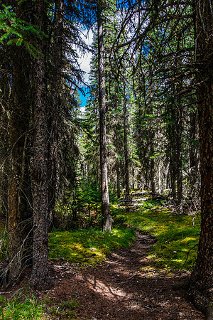 Dolomite Creek Trail.