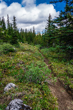 Dolomite Creek Trail.