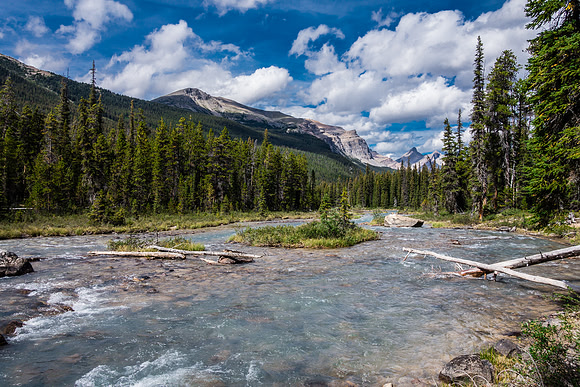 Crossing Dolomite Creek.