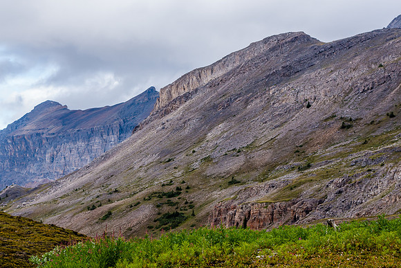 Dolomite Creek Trail.