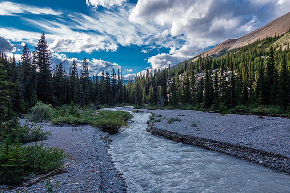 The tamer upper Recondite Creek gravel flats.