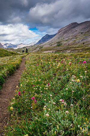 Dolomite Creek Trail.