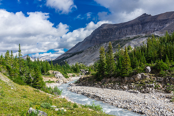 Dolomite Creek Trail.