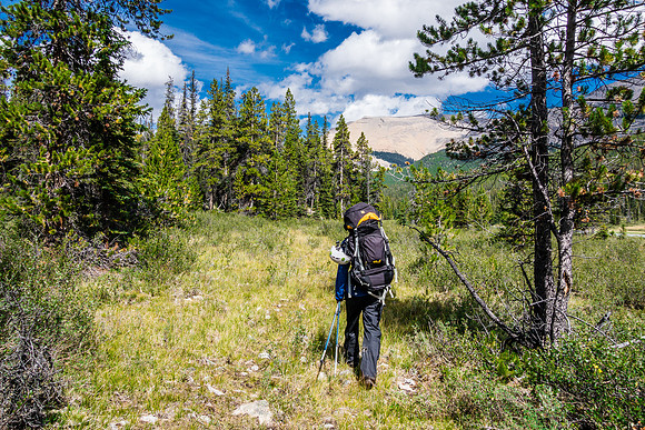 Past Isabella Lake.