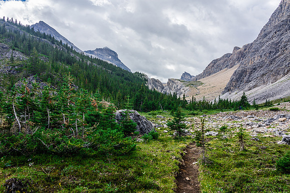 Dolomite Creek Trail.